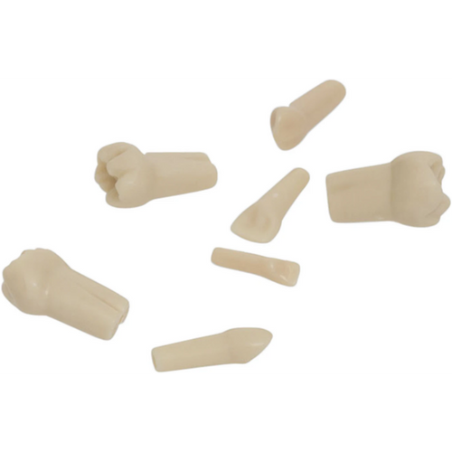 Modelltann barn AK-6 stk. nr. 16