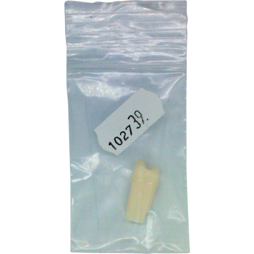 Permanent enkelt tann A5H-500 stk. nr. 14