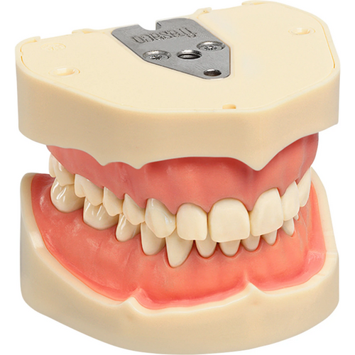 Arbeidsmodell ANA-4 / ANKA-4 stk. OK/UK inkludert 28 tenner