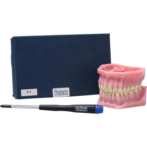 Arbeidsmodell A-3 stk. OK/UK inkludert 32 tenner