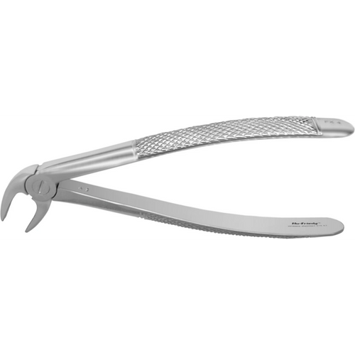 Ekstraksjonstank UK stk. FX4E, nedre incisiver og hjørnetenner