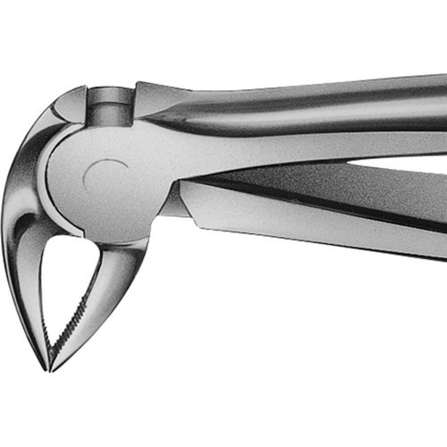 Anatomica ekstraksjonstang  Büchs stk. DH732R, for UK røtter, med smal munn