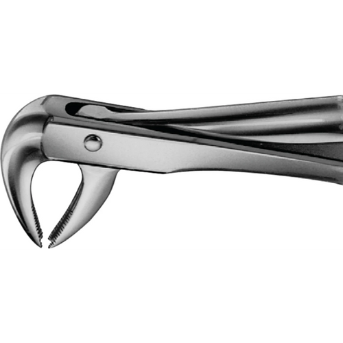 Anatomica ekstraksjonstang  Trotter stk. DG430R, for UK hjørnetenner og premolarer