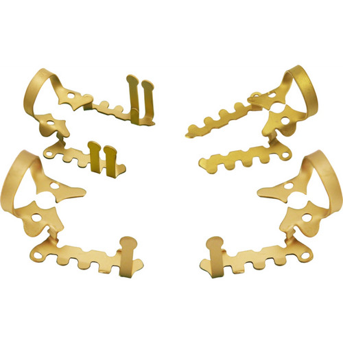 New Haller klammer stk. 2AO, gull (ZiN)