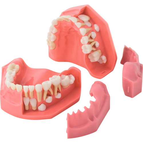 Vekstmodell 5/9 år P1-600B stk.