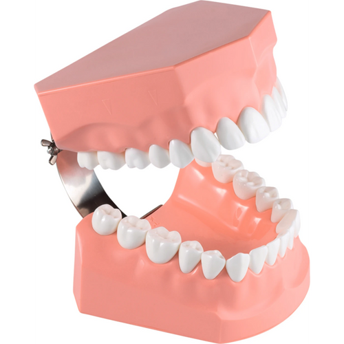 Tannbørste modell P3B-705 stk. 