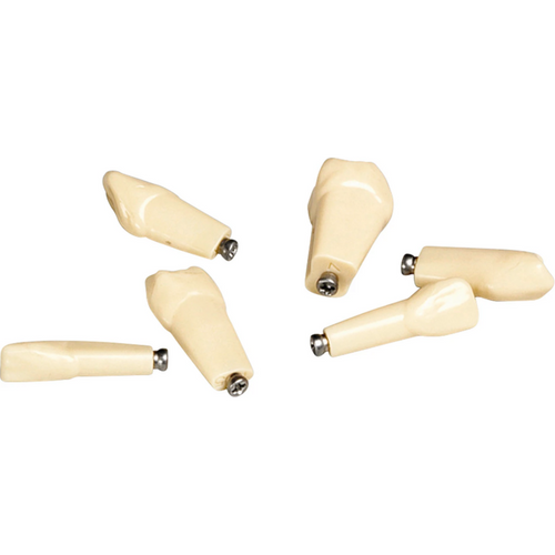 Plastmodell tann ANKA-4 ZE 100 stk. med klikksystem, tann 34