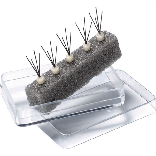 HeraCeram® Press fan pin Pack of 5 pieces