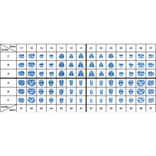 Links for vestibular veneers GVV Refill pack 25 pieces 16 A