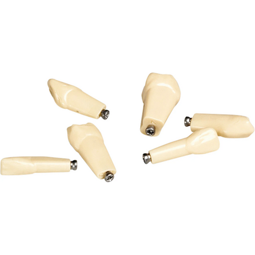 Plastmodelltann ANKA-4 ZE Pakke med 10 stk. med klikkfeste, tann 47