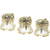 ERGOPLANT Bone Fixation stk. Holder for 4 skrue-magasiner DX620