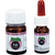 Endo N2 Cement 10 g pulver