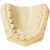 Prima-Rock Carton 15 kg super hard plaster ivory