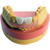 Majesthetik® gingiva Refill pack 8 x 50 ml double cartridges