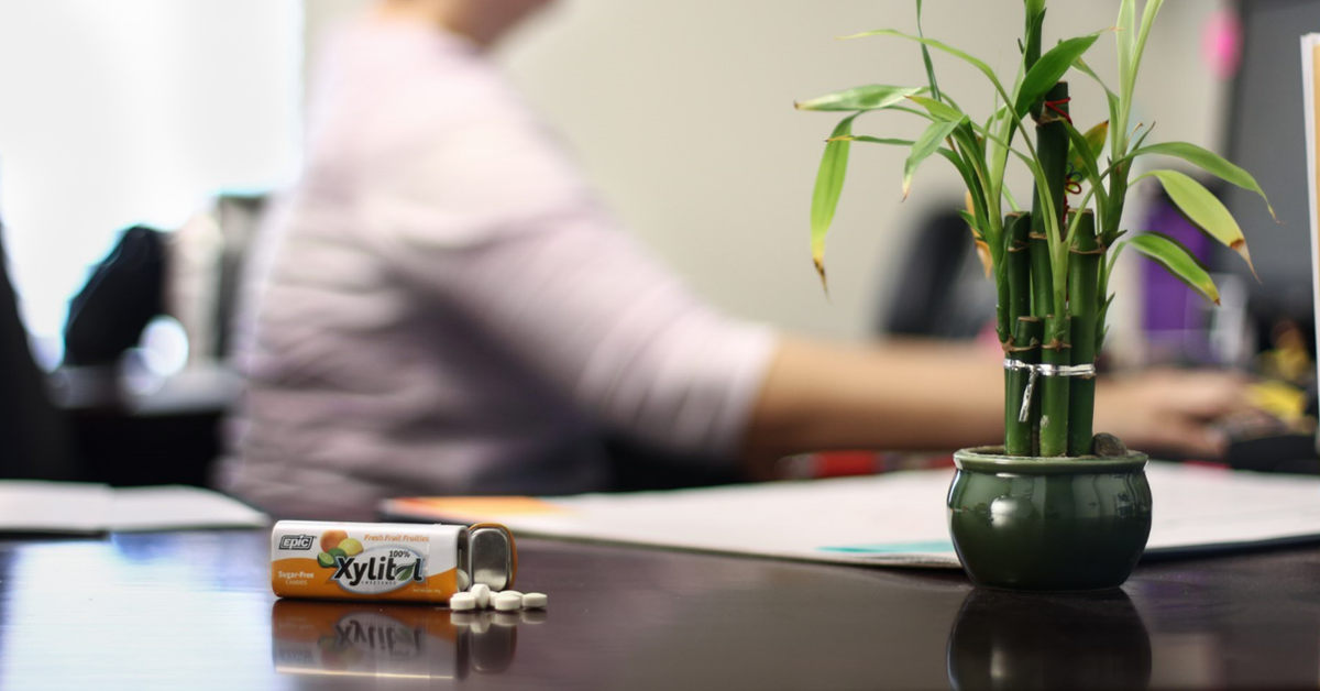 When To Use Xylitol - Product Schedule