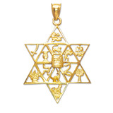 Gold Star of David Pendant with Twelve Tribes of Israel