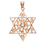 Rose Gold Star of David Pendant with Twelve Tribes of Israel