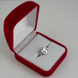White Gold Aquarius Satin DC Band Ladies Zodiac Ring