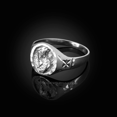 White Gold Pisces Satin DC Band Ladies Zodiac Ring