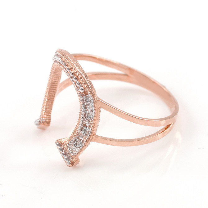 Lucky horseshoe ring