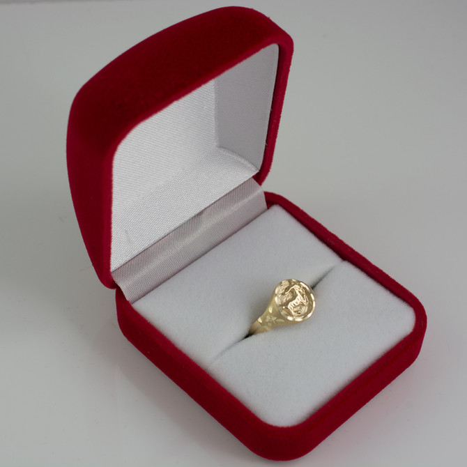 Yellow Gold Capricorn Satin DC Band Ladies Zodiac Ring