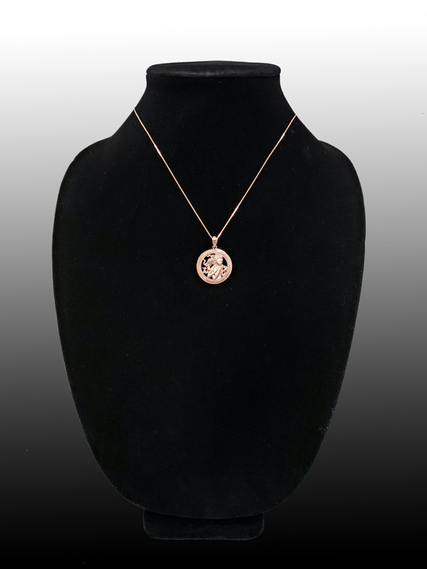 Rose Gold Zodiac Medallion Satin DC Pendant Necklace