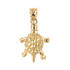Gold turtle pendant.