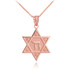 Rose Gold Star of David Chai Necklace