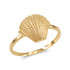 Gold conch shell ring.
