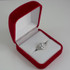 White Gold Sagittarius Satin DC Band Ladies Zodiac Ring