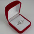 White Gold Capricorn Satin DC Band Ladies Zodiac Ring