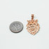 Rose Gold Lion King DC Charm Necklace