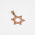 Rose Gold Jewish Star of David DC Pendant
