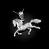 White Gold Horse Satin DC Charm Necklace