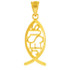 Yellow Gold Ichthus JESUS Inscribed Vertical Pendant