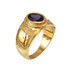 Yellow Gold Gemini Zodiac Sign June Birthstone Violet CZ Ring