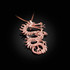 Rose Gold Textured  Dragon DC Charm Necklace