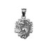 White Gold Jesus Face Cross DC Charm Necklace