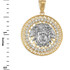Two-Tone Yellow Gold Medusa CZ Medallion Pendant (S/L)