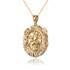 Yellow Gold Lion Face DC Pendant Necklace