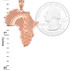 Rose Gold Africa Map Adinkra Sankofa Pendant Necklace
