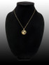 Yellow Gold Zodiac Medallion Satin DC Pendant Necklace