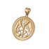 Yellow Gold Zodiac Medallion Satin DC Pendant Necklace