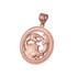 Rose Gold Zodiac Medallion Satin DC Pendant Necklace