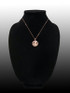 Rose Gold Zodiac Medallion Satin DC Pendant Necklace