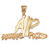 Polished Yellow Gold ALWAYS PAID Hip-Hop Pendant