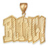 Gold BLING! DC Hip-Hop Pendant