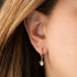 Yellow Gold Marijuana Leaf Cannabis Cuban Link Huggie Earrings