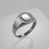 Gold Oval Signet Pinky Ring with 20 Diamonds
