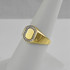 Gold Oval Signet Pinky Ring with 20 Diamonds